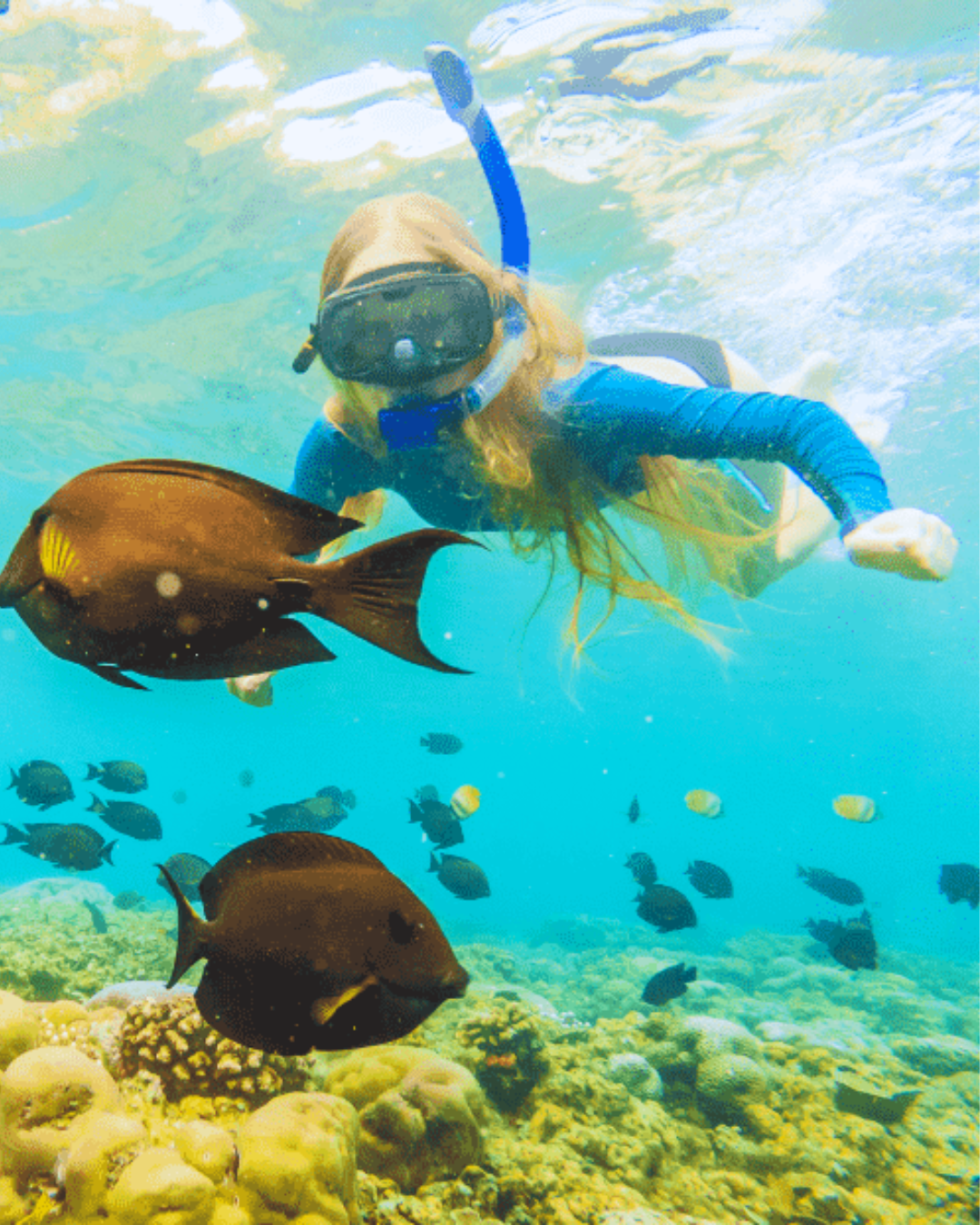 O ecoturismo em Ubatuba vai muito além do mar. A cidade abriga parques e reservas naturais ideais para trilhas e aventuras ecológicas, como o Parque Estadual da Serra do Mar. As trilhas cortam vegetações densas e levam a mirantes e cachoeiras deslumbrantes, como a do Prumirim e a da Água Branca. Assim, cada passeio é uma oportunidade de reconexão com o meio ambiente. Saiba mais sobre o Parque Estadual da Serra do Mar e suas trilhas sustentáveis. Trilhas e cachoeiras que encantam os visitantes Durante as caminhadas, é comum observar aves coloridas, saguis e flores tropicais. Além disso, as cachoeiras proporcionam um mergulho refrescante em meio à mata. Essa combinação torna o ecoturismo em Ubatuba uma das atividades mais procuradas na cidade. Consequentemente, o turismo sustentável se destaca por unir aventura e contemplação em harmonia com a natureza. Confira mais conteúdos sobre vida em harmonia com a natureza e bem-estar em Ubatuba. Aventuras aquáticas e ecoturismo em Ubatuba As aventuras em Ubatuba também acontecem no mar. O mergulho, o snorkel, o caiaque e o stand up paddle estão entre as atividades mais procuradas pelos visitantes. Locais como a Praia do Félix, a Praia da Almada, a Ilha das Couves e a Lagoa Azul são perfeitos para explorar enseadas e manguezais. Dessa forma, o visitante vivencia o verdadeiro espírito do ecoturismo em Ubatuba, com respeito à vida marinha. Saiba mais sobre roteiros e atrações em Ubatuba no site oficial de Turismo de São Paulo. Qualidade de vida e experiências sustentáveis Viver em Ubatuba é um privilégio para quem deseja qualidade de vida e contato direto com o meio ambiente. O nascer do sol nas montanhas e o pôr do sol no mar fazem parte da rotina. Além disso, o canto dos pássaros e o som das ondas completam a experiência de morar em um verdadeiro refúgio natural. A cidade oferece boa infraestrutura, com comércio, serviços e lazer para moradores e visitantes. Assim, o ecoturismo em Ubatuba cresce de forma equilibrada, unindo natureza e conveniência. Ubatuba: um destino para viver e investir Seja para morar, descansar nos fins de semana ou investir, Ubatuba é uma escolha inteligente. O mercado imobiliário local se valoriza a cada ano, impulsionado pela busca por qualidade de vida e pelo turismo sustentável. A Rocha Real acompanha esse movimento com empreendimentos que unem conforto, sustentabilidade e harmonia com o ambiente natural. Por fim, viver em Ubatuba é unir natureza, conforto e bem-estar em um só lugar.